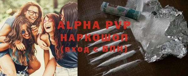 прущие грибы Беломорск